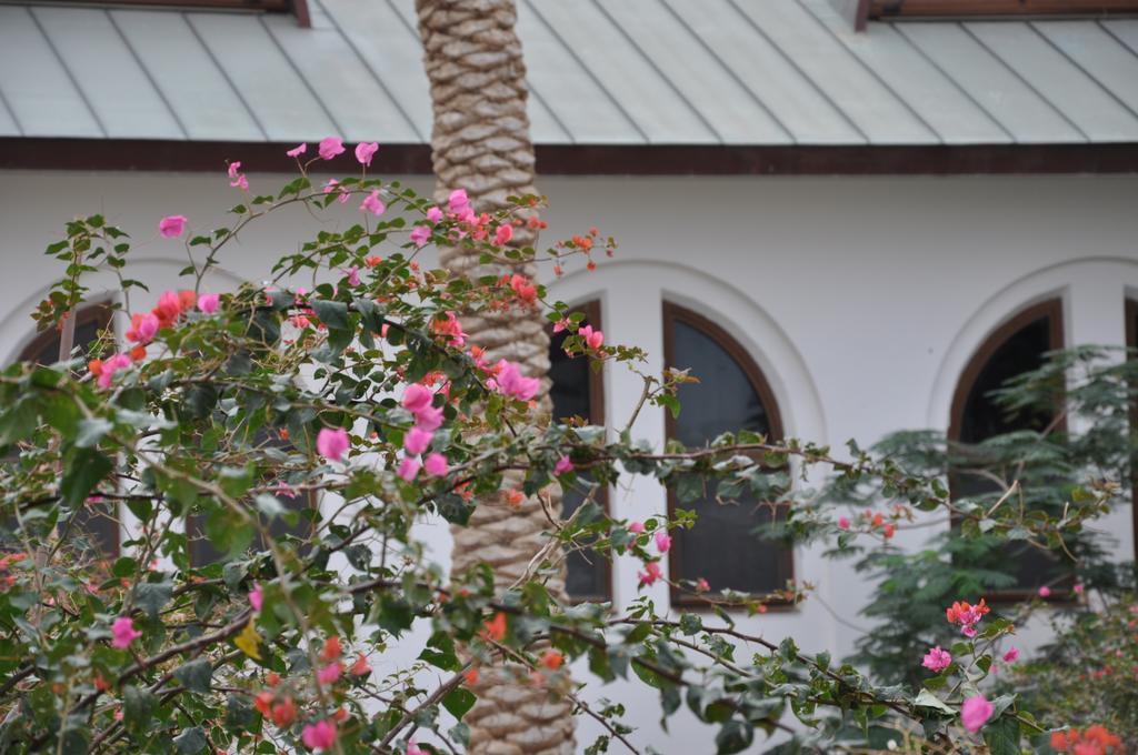Russian Pilgrim Residence Sweimeh Exterior photo
